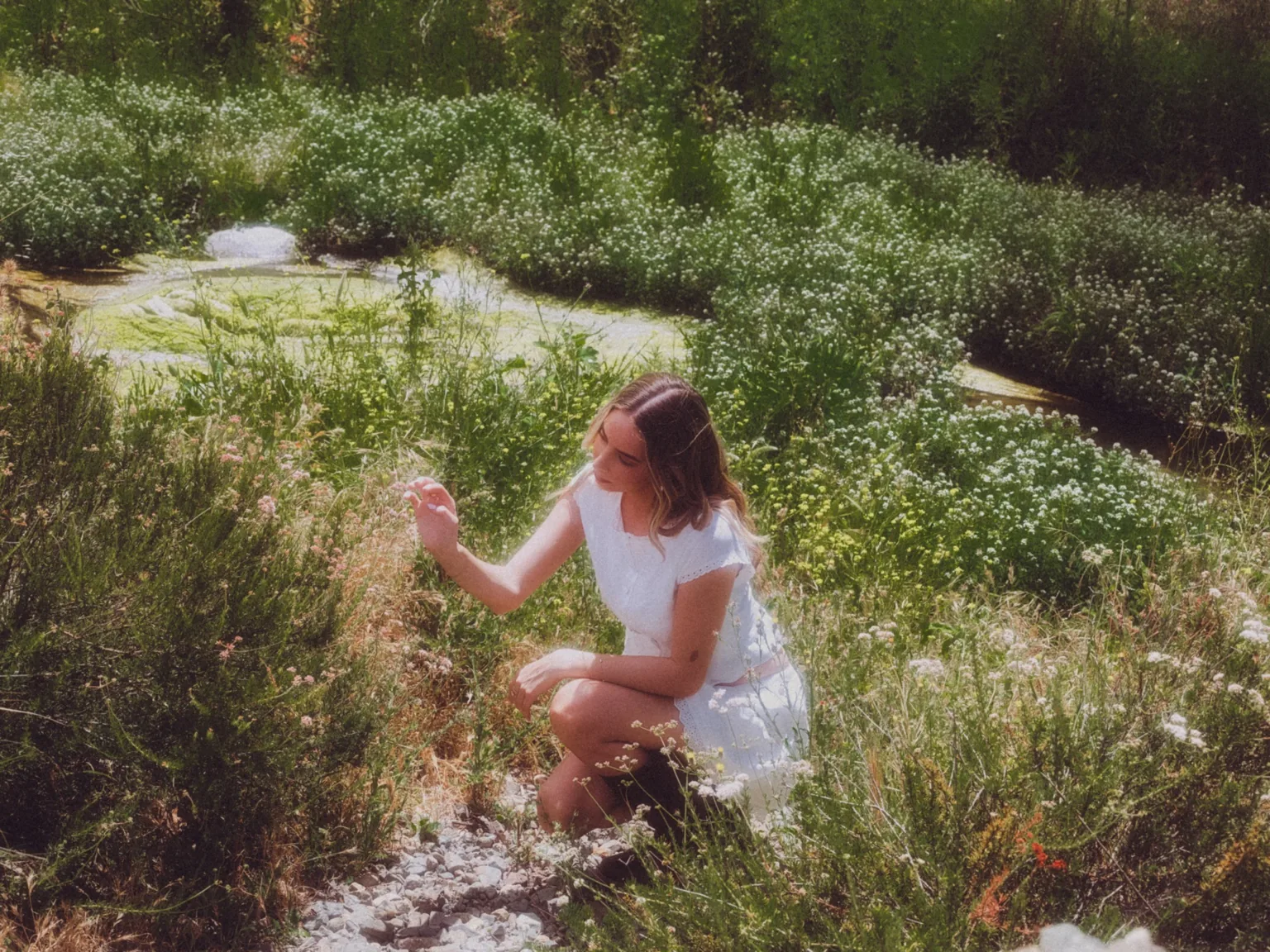 Anika Sloane in a sunlit field of wildflowers